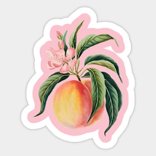 Encore  Peach on a Branch, Accompanied by Green Leaves and a Pink Peach Blossom Sticker